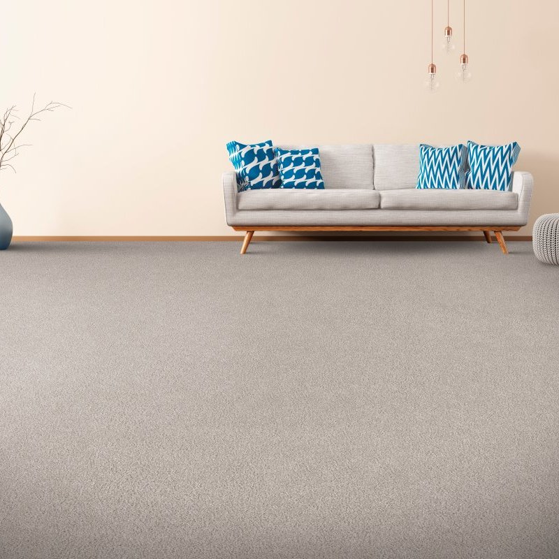 Carpet info at Locust Trading Company in Cherokee County